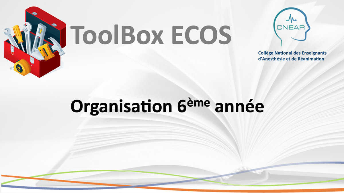 ToolBox ECOS Organisation 6eme année